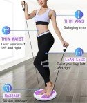 Multi-Functional Twist Waist Disc Balance Board