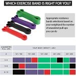 Premium Resistance Bands for Home Workout