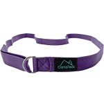Adjustable D-Ring Yoga Strap - Purple 183cm