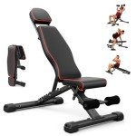 Adjustable 880LBS Weight Bench for Home Gym