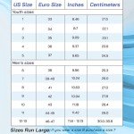 Chicago Skates Men's Black Inline Roller Skates