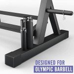 3-Tier Dumbbell Rack for Home Gym Storage