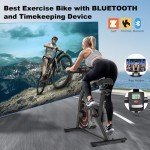 Indoor Spin Exercise Bike for Home Workouts