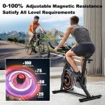 Indoor Spin Exercise Bike for Home Workouts