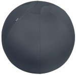 Leitz Active Sitting Ball - Ergonomic Desk Chair Alternative
