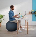Leitz Active Sitting Ball - Ergonomic Desk Chair Alternative