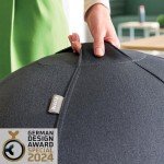 Leitz Active Sitting Ball - Ergonomic Desk Chair Alternative