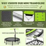 Mini Trampoline with Adjustable Handrail for Fitness