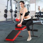 Adjustable Sit Up Bench for Home Workouts