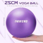 25cm Pilates Mini Ball for Home Workouts