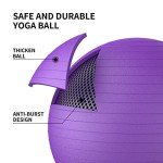 Proiron Anti-Burst Exercise Ball with Pump