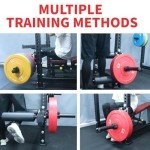 Adjustable Leg Extension and Curl Machine for Home