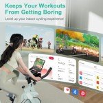 Adjustable Spin Bike with LCD Display and Resistance