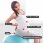 BabyGo® Maternity Birthing Ball & Guide Book