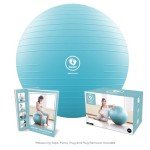 BabyGo® Maternity Birthing Ball & Guide Book