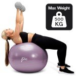Femeo® 65cm Yoga & Fitness Exercise Ball