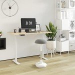 FLEXISPOT Height-Adjustable Wobble Stool for Active Sitting