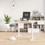 FLEXISPOT Height-Adjustable Wobble Stool for Active Sitting