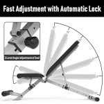 Foldable Adjustable Weight Bench for Full Body Workouts