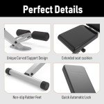 Foldable Adjustable Weight Bench for Full Body Workouts