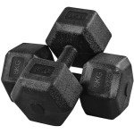Yaheetech 2x8kg Dumbbells Set for Home Gym