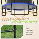 CalmMax 10FT Trampoline with Enclosure Net and Ladder