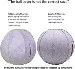 Yoga Ball Chair with Handle - 65CM Fitness Ball