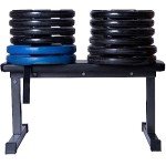 Flat Weight Lifting Bench with Sit-up Strap