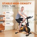 Magnetic Resistance Indoor Exercise Bike with Monitor