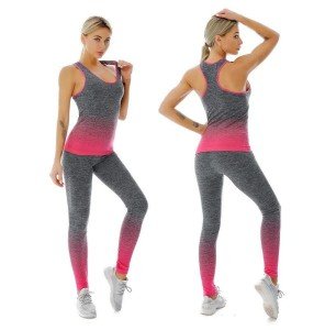 ZiaWorld Women's Seamless Gym Outfit Set - Pink