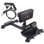 Multi-Function Sissy Squat and Ab Bench