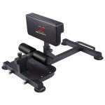 Multi-Function Sissy Squat and Ab Bench