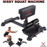 Multi-Function Sissy Squat and Ab Bench