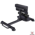 Multi-Function Sissy Squat and Ab Bench