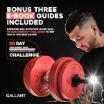 Adjustable 20kg Dumbbells and Barbell Set