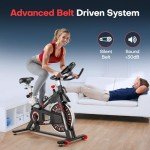 RIKSION Indoor Exercise Bike with Silent Drive
