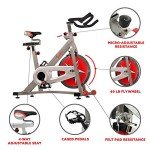 Sunny Health & Fitness Indoor Cycling Bike