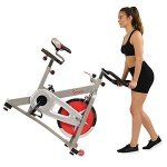 Sunny Health & Fitness Indoor Cycling Bike