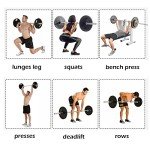 4ft Straight Weights Bar with Spring Clips