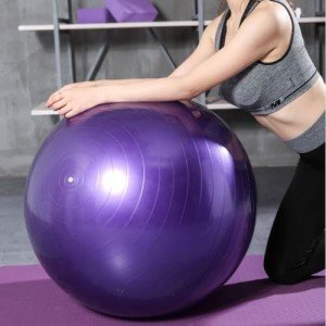 SJMR 65cm Anti-Burst Fitness Ball for Yoga & Pilates