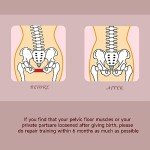Pelvic Floor Strengthener and Inner Thigh Trainer