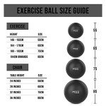 Extra Thick Anti-Burst Exercise Ball with Pump