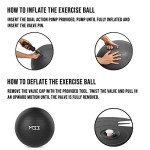 Extra Thick Anti-Burst Exercise Ball with Pump
