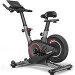 PASYOU Indoor Exercise Bike with LCD Display