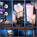 Adjustable 700LBS Dumbbell Rack for Home Gym