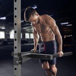 Kipika Y-Shaped Dip Bar for Power Cage