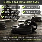 PhysKcal 10kg Olympic Weight Plates with Grips