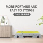 Leikefitness Adjustable Aerobic Deck and Dumbbell Bench