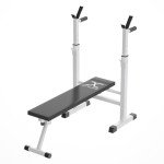 Adjustable 4-in-1 Weight Bench with Dip Station