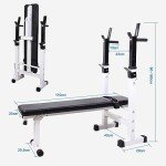 Adjustable 4-in-1 Weight Bench with Dip Station